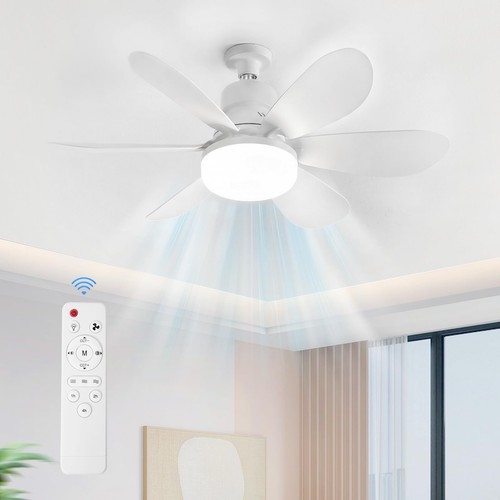Ventilatore soffitto con - da,
